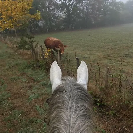 Jusqu'a 8 Lits Dans Un Centre Equestre Grand Parking Holiday home Confolens