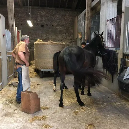 Jusqu'a 8 Lits Dans Un Centre Equestre Grand Parking Holiday home Confolens