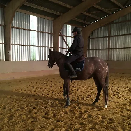 Dans Un Centre Equestre Grand Parking Feriehus