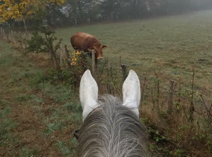 Dans Un Centre Equestre Grand Parking Сasa de vacaciones Confolens